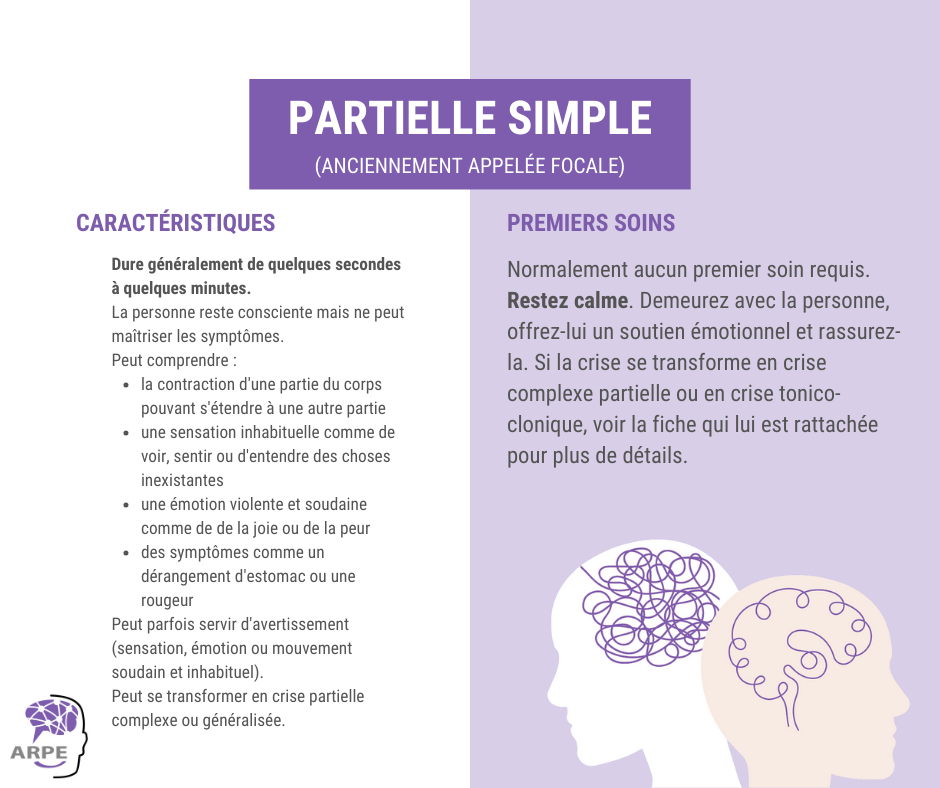 Partielle simple